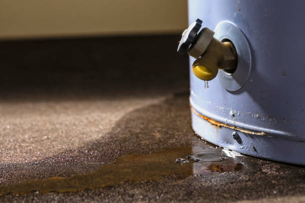 Best Commercial water damage restoration  in Monroe, MI