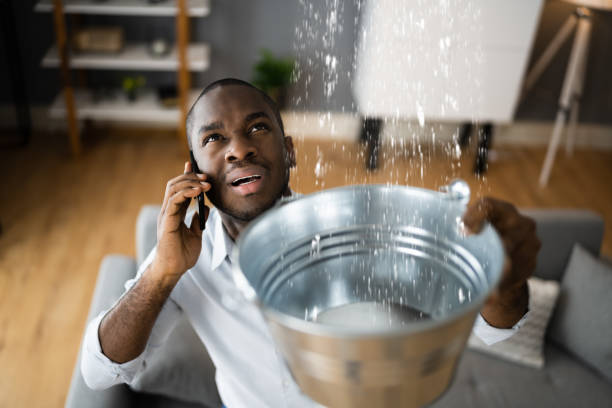 Best Flood damage cleanup  in Monroe, MI