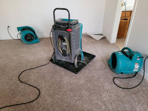 Best Sewage cleanup and water damage restoration  in Monroe, MI