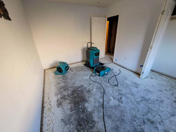 Best Fire Damage Restoration  in Monroe, MI
