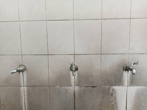Best Local water damage restoration  in Monroe, MI