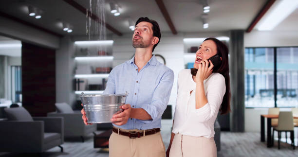 Best Carpet water damage restoration  in Monroe, MI