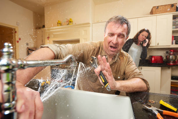 Best 24-hour water damage restoration  in Monroe, MI